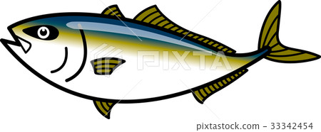 Yellowtail 33342454
