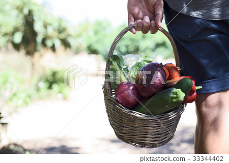 young man with a basket full of vegetables young man with a basket full of vegetables 33344402