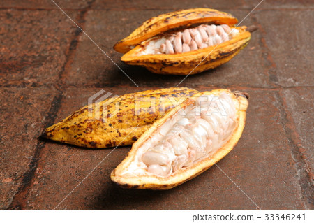 Cacao in Guatemala / Cacao in Guatemala 33346241
