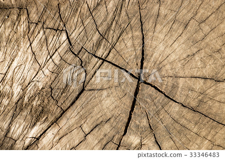 Closed up of brown aging tree bark background 33346483