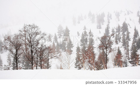 Snowy field in the mountain 33347956