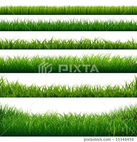 Green Grass Big Borders Collection Green Grass Big Borders Collection 33348458