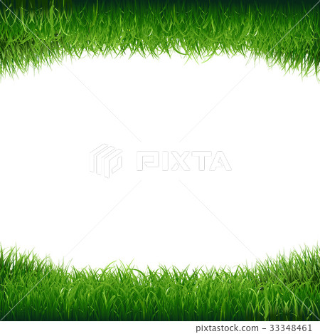 Green Grass Frame Green Grass Frame 33348461