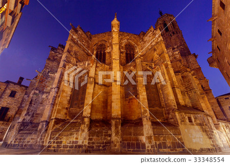Barcelona. The Cathedral at dawn. 33348554