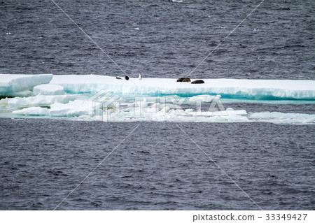 Antarctica - Floating Ice - Global Warming 33349427