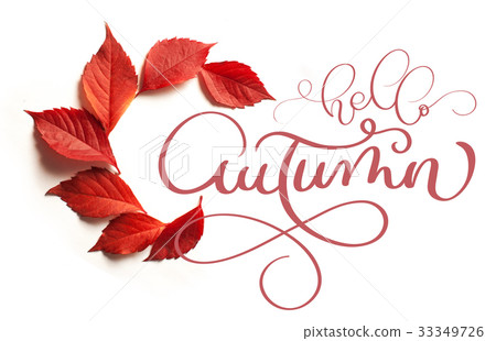 calligraphy lettering text hello Autumn. red calligraphy lettering text hello Autumn. red 33349726