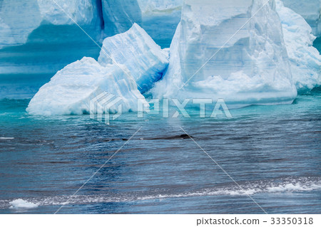 Antarctica - Antarctic Peninsula - Tabular Iceberg Antarctica - Antarctic Peninsula - Tabular Iceberg 33350318