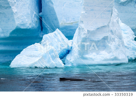 Antarctica - Antarctic Peninsula - Tabular Iceberg 33350319