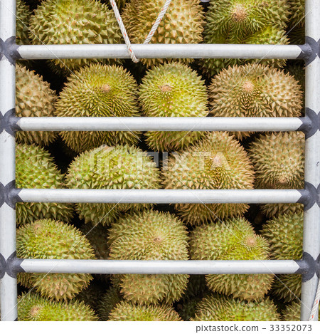 Durian is transported by car. 33352073