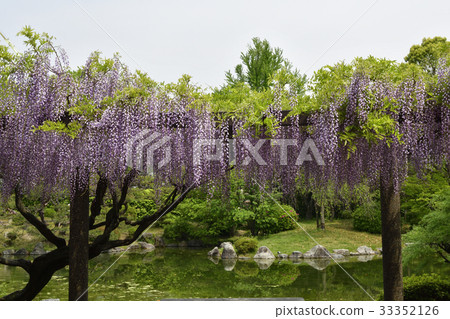 Kyoto City Museum of Art Garden (Fujitana) Kyoto City Museum of Art Garden (Fujitana) 33352126
