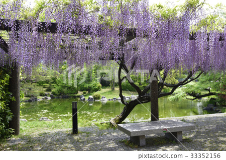 京都市立美術館（Fujitana） 33352156