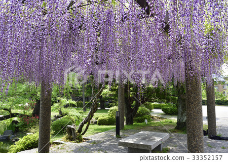 京都市立美術館(Fujitana) 京都市立美術館(Fujitana) 33352157