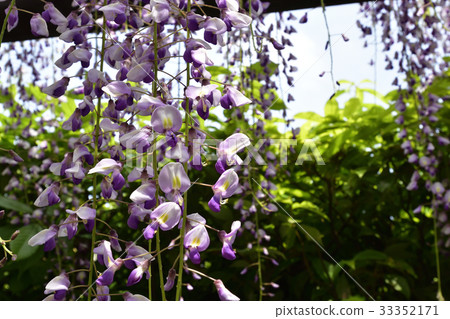 京都市立美術館（Fujitana） 33352171