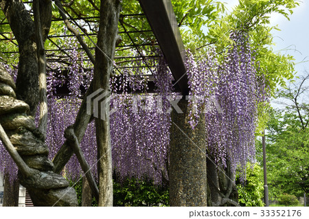 京都市立美術館（Fujitana） 33352176