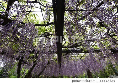 京都市立美術館(Fujitana) 京都市立美術館(Fujitana) 33352185