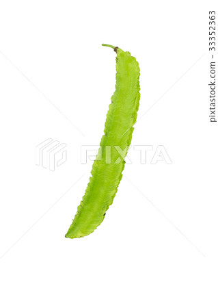Young Winged Beans,Psophocarpus tetragonolobus 33352363
