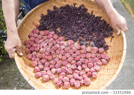 梅花電飯煲生魚片 33352998