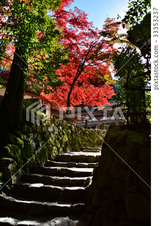 Koto Miyama Saimyoji Temple 33353237