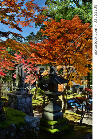 Koto Miyama Saimyoji Temple 33353239