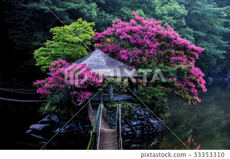 Bairong Tree,每日休閒城,順天市,全南,韓國 Bairong Tree,每日休閒城,順天市,全南,韓國 33353310