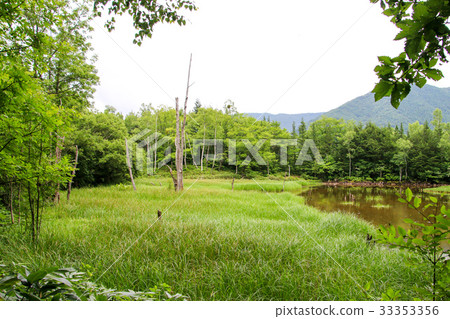 Asami Pond 33353356