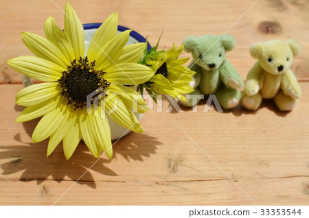Sunflower flower and teddy bear Sunflower flower and teddy bear 33353544