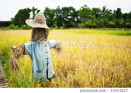 Scarecrow straw man guarding rice fields Scarecrow straw man guarding rice fields 33353827