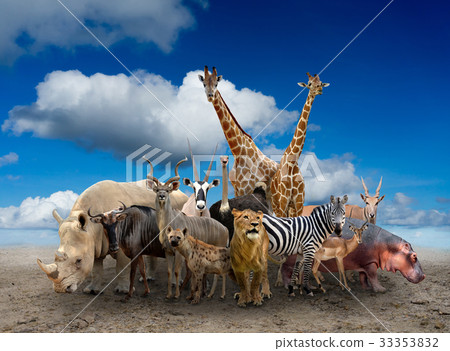 group of africa animals 33353832