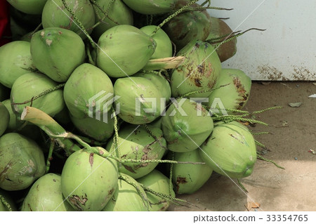 coconut 33354765