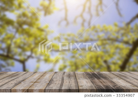empty space of green forest and sunset empty space of green forest and sunset 33354907