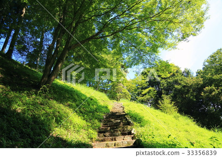 Mountain view 33356839