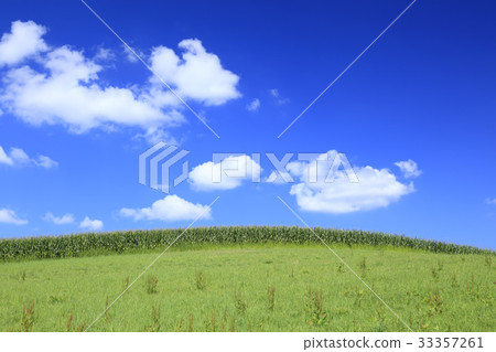 Biei-cho, Hokkaido Plain and flowing clouds Biei-cho, Hokkaido Plain and flowing clouds 33357261