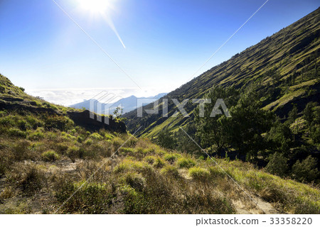 Green view on the edge senaru at Mount Rinjani 33358220