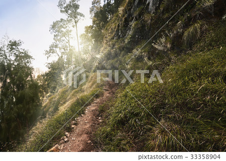 Hiking trails for hiker to Mount Rinjani summit Hiking trails for hiker to Mount Rinjani summit 33358904