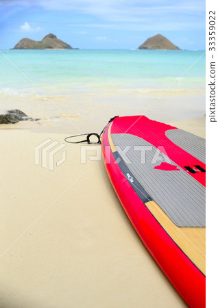 夏威夷海灘和衝浪板 夏威夷海灘和衝浪板 33359022