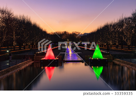 國家昭和紀念公園的照明 國家昭和紀念公園的照明 33359335