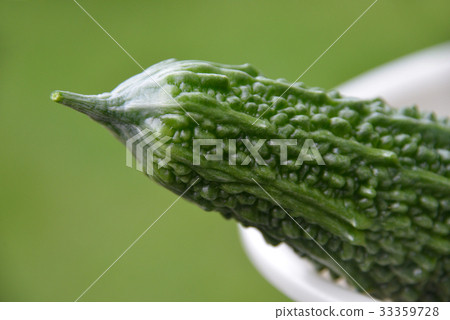Goya @ kitchen garden series Goya @ kitchen garden series 33359728