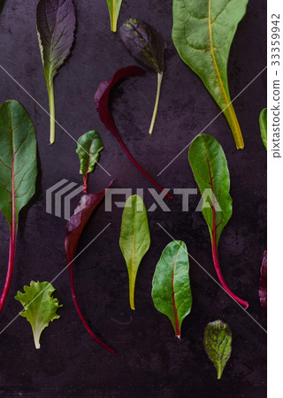 baby salad leaves 33359942