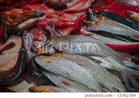 魚市場 ,水產,生鮮,魚市場、魚、新鮮な、Fish market, aquatic product 魚市場 ,水產,生鮮,魚市場、魚、新鮮な、Fish market, aquatic product 33362364