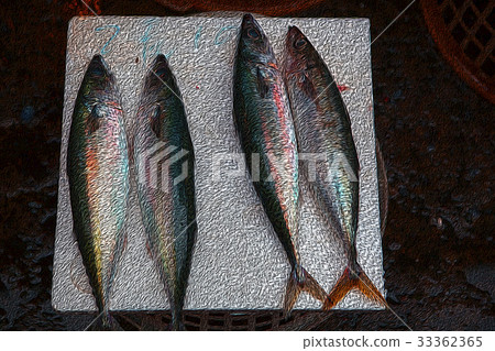 魚市場 ，水產，生鮮,魚市場、魚、新鮮な、Fish market, aquatic product 33362365