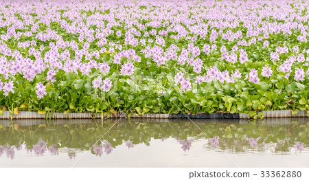 這個藥師師的廢墟 這個藥師師的廢墟 33362880