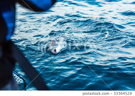 Chinos Fishing 33364529