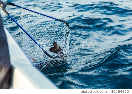 希諾斯釣魚 33364530