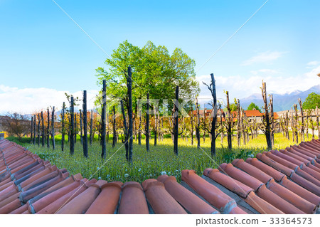 Alaverdi orthodox monastery in Kakhetia Georgia 33364573