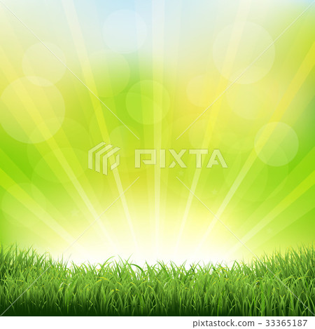 Green Background With Green Grass And Sunburst Green Background With Green Grass And Sunburst 33365187