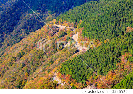 天空塔的芝麻山吉山 33365201
