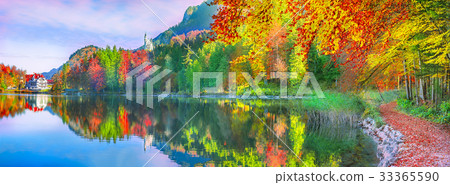 Autumn forest reflected in the water lake 33365590