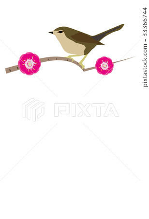 Spring traditions of warlords 33366744