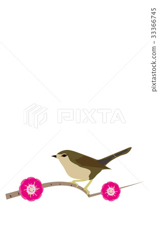 Spring traditions of warlords 33366745