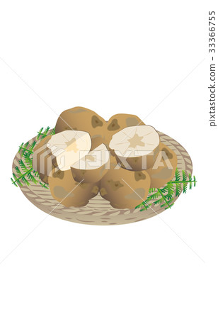 春天傳統土豆 33366755